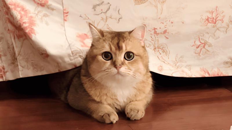 Featured image of post About