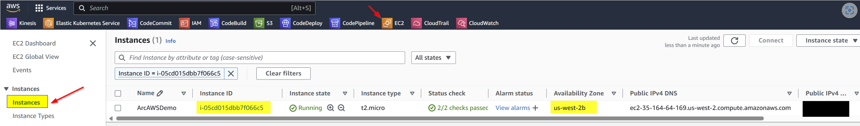 Check EC2 Instances